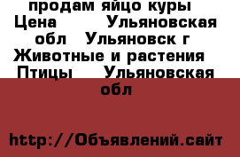 продам яйцо куры › Цена ­ 80 - Ульяновская обл., Ульяновск г. Животные и растения » Птицы   . Ульяновская обл.